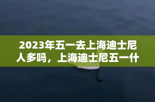 2023年五一去上海迪士尼人多吗，上海迪士尼五一什么时候人少