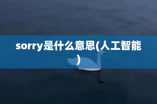 sorry是什么意思(人工智能)