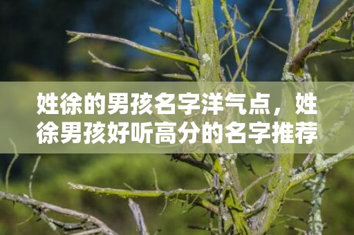 姓徐的男孩名字洋气点，姓徐男孩好听高分的名字推荐