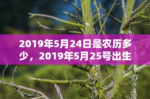 2019年5月24日是农历多少，2019年5月25号出生的男宝宝五行缺火要怎么起名字