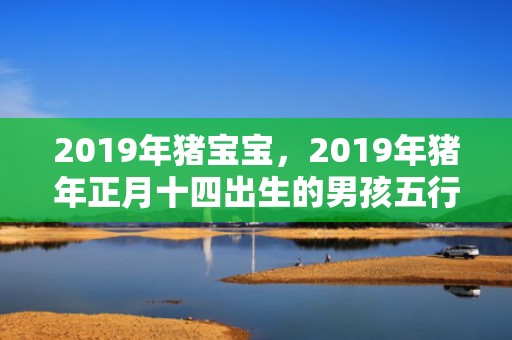 2019年猪宝宝，2019年猪年正月十四出生的男孩五行缺土的名字宝典大全