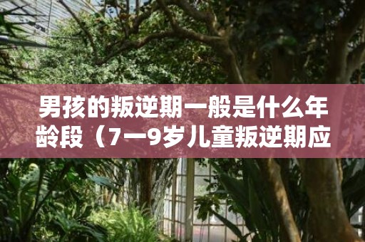 男孩的叛逆期一般是什么年龄段（7一9岁儿童叛逆期应该怎么办）