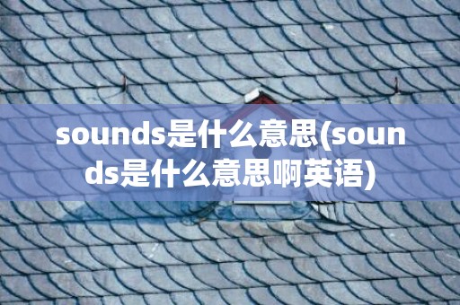 sounds是什么意思(sounds是什么意思啊英语)