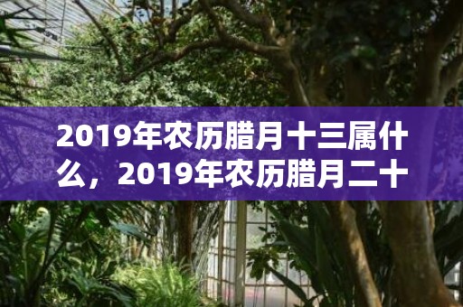 2019年农历腊月十三属什么，2019年农历腊月二十三出生的男孩八字缺木怎么起名更好？