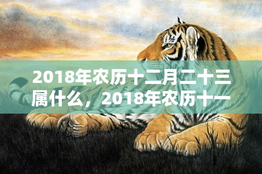 2018年农历十二月二十三属什么，2018年农历十一月十九出生的女孩名字怎么取好听？