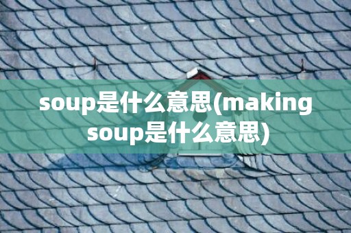 soup是什么意思(making soup是什么意思)