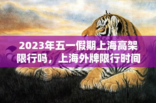 2023年五一假期上海高架限行吗，上海外牌限行时间上高架怎么处罚