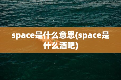 space是什么意思(space是什么酒吧)