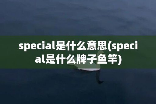special是什么意思(special是什么牌子鱼竿)