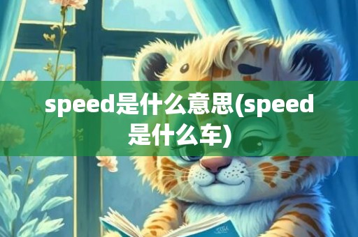 speed是什么意思(speed是什么车)