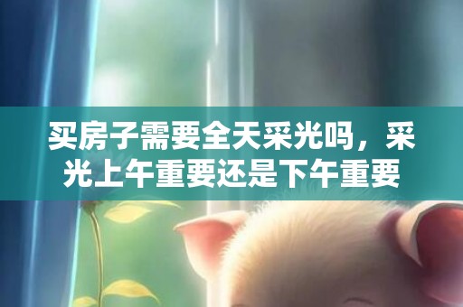 买房子需要全天采光吗，采光上午重要还是下午重要