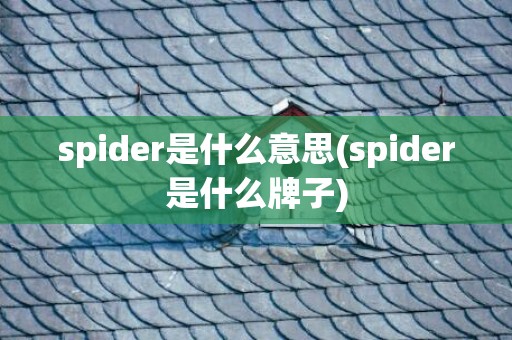 spider是什么意思(spider是什么牌子)