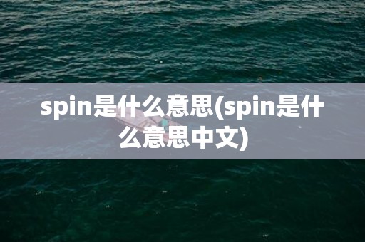 spin是什么意思(spin是什么意思中文)