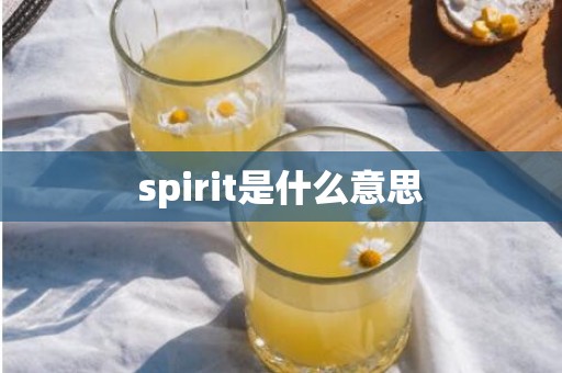 spirit是什么意思