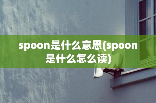 spoon是什么意思(spoon是什么怎么读)