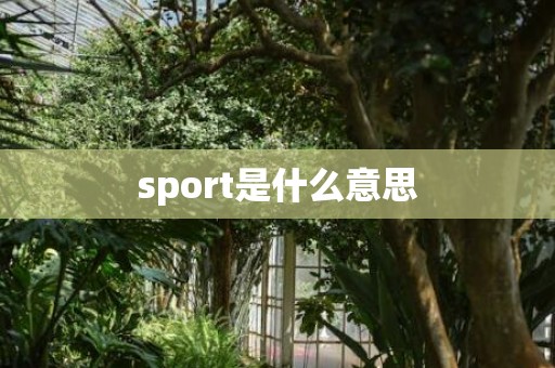 sport是什么意思