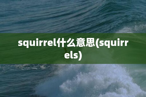 squirrel什么意思(squirrels)