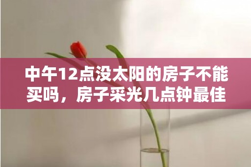 中午12点没太阳的房子不能买吗，房子采光几点钟最佳