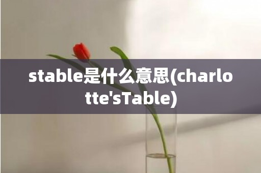 stable是什么意思(charlotte'sTable)