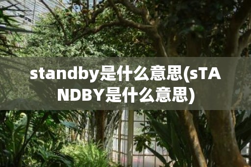 standby是什么意思(sTANDBY是什么意思)