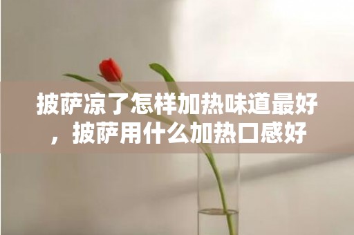 披萨凉了怎样加热味道最好，披萨用什么加热口感好