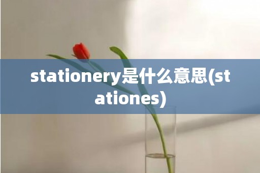 stationery是什么意思(stationes)