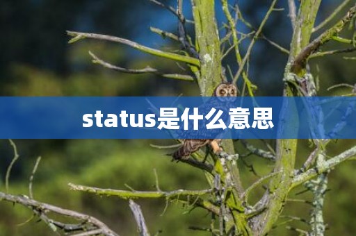 status是什么意思