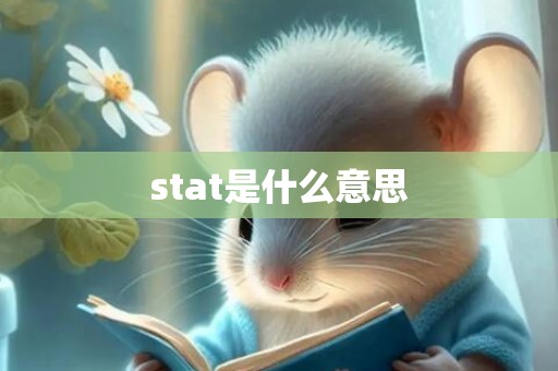 stat是什么意思
