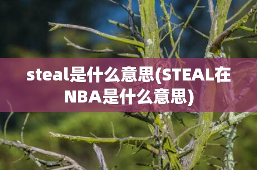steal是什么意思(STEAL在NBA是什么意思)