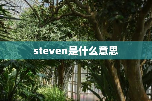 steven是什么意思