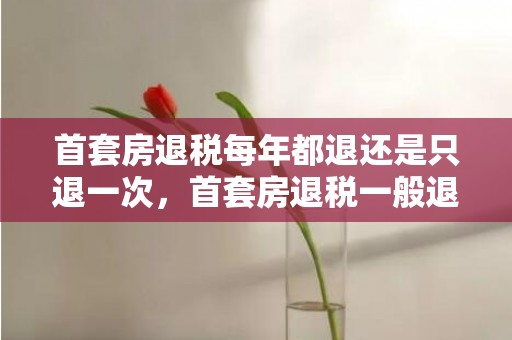 首套房退税每年都退还是只退一次，首套房退税一般退多少