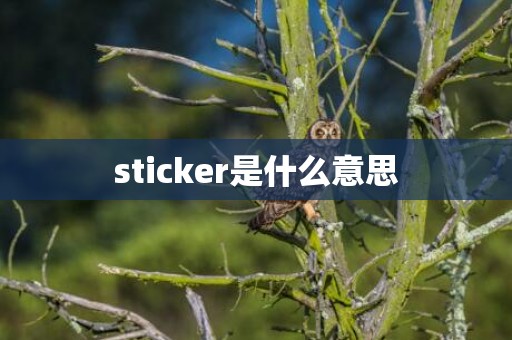 sticker是什么意思