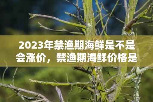 2023年禁渔期海鲜是不是会涨价，禁渔期海鲜价格是涨还是跌