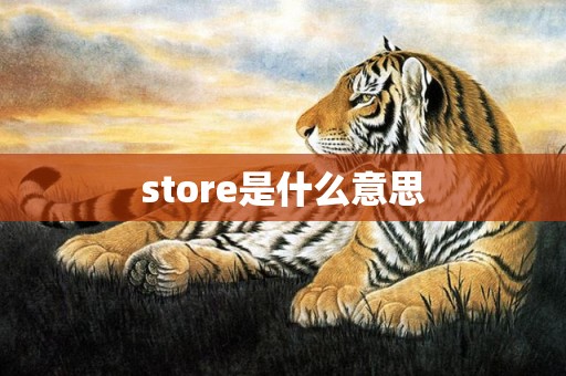 store是什么意思