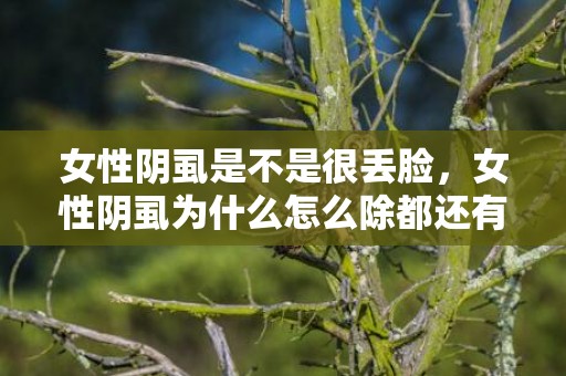 女性阴虱是不是很丢脸，女性阴虱为什么怎么除都还有
