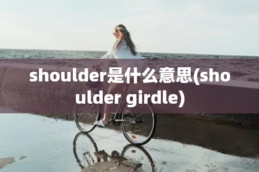 shoulder是什么意思(shoulder girdle)