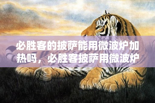 必胜客的披萨能用微波炉加热吗，必胜客披萨用微波炉怎么加热