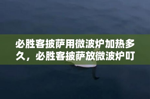必胜客披萨用微波炉加热多久，必胜客披萨放微波炉叮几分钟