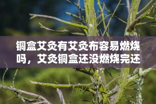 铜盒艾灸有艾灸布容易燃烧吗，艾灸铜盒还没燃烧完还能用吗