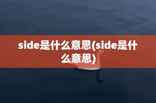 side是什么意思(side是什么意思)
