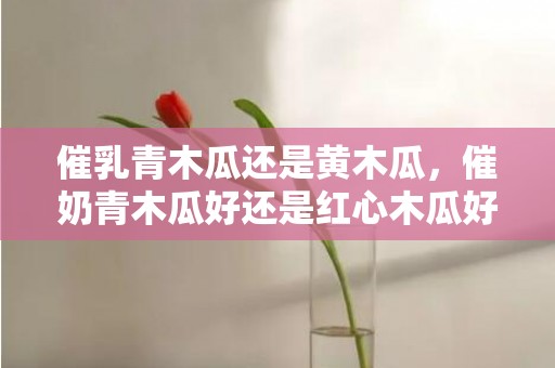 催乳青木瓜还是黄木瓜，催奶青木瓜好还是红心木瓜好，青木瓜怎么做下奶食谱