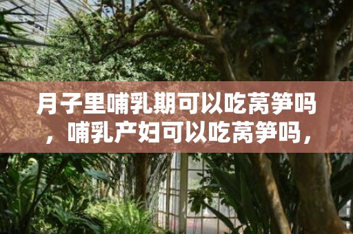 月子里哺乳期可以吃莴笋吗，哺乳产妇可以吃莴笋吗，产妇吃莴笋有什么好处