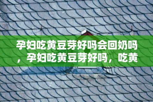 孕妇吃黄豆芽好吗会回奶吗，孕妇吃黄豆芽好吗，吃黄豆芽有什么好处