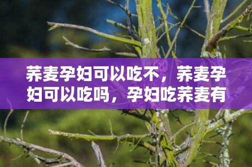 荞麦孕妇可以吃不，荞麦孕妇可以吃吗，孕妇吃荞麦有什么好处