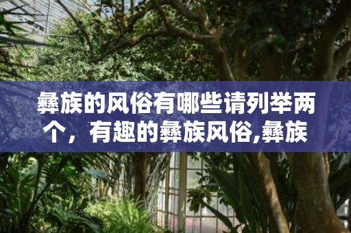 彝族的风俗有哪些请列举两个，有趣的彝族风俗,彝族人的风俗习惯是什么？