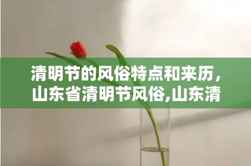 清明节的风俗特点和来历，山东省清明节风俗,山东清明节有什么习俗呢？