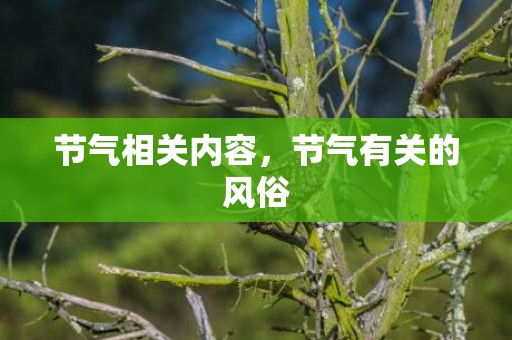 节气相关内容，节气有关的风俗