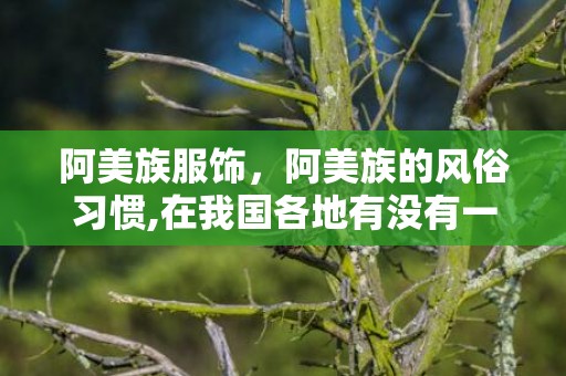 阿美族服饰，阿美族的风俗习惯,在我国各地有没有一些反映重女轻男的民间风俗？