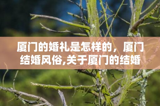 厦门的婚礼是怎样的，厦门结婚风俗,关于厦门的结婚风俗