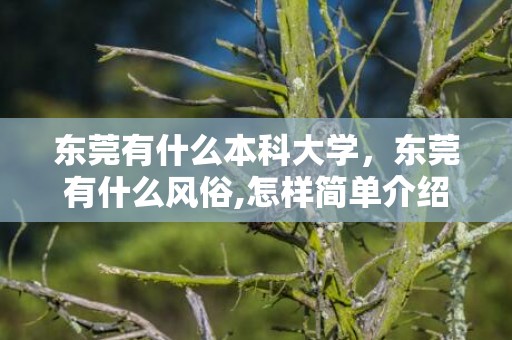 东莞有什么本科大学，东莞有什么风俗,怎样简单介绍东莞习俗